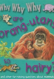 Why Why Why Are Orangutans So Hairy? (Camilla De La Bedoyere)