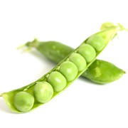Pea Protein