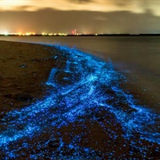 Maldives Glowing Beach