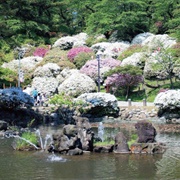Senshu Park, Akita