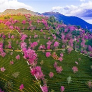 Nanjian Yi Autonomous County