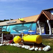 History of Diving Museum
