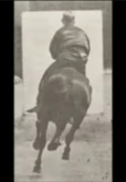 Horse Bouquet Galloping, Saddled With Rider 1887 (1890)