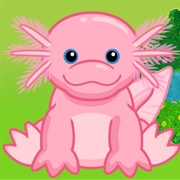 Axolotl