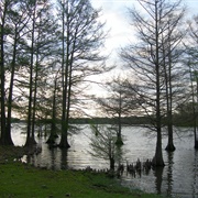 Lake Providence, Louisiana