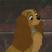 Lady (Lady and the Tramp, 1955)