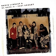 David Lindley & El Rayo-X - Very Greasy