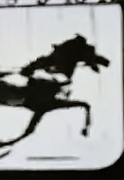 Galloping Horseman (1893)