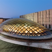 Joe and Rika Mansueto Library