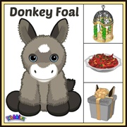 Donkey Foal