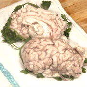 Brain