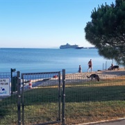 Območje Za Pse Koper