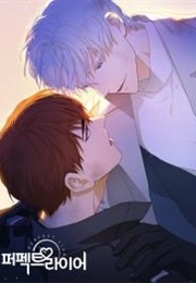 Perfect Liar (Donam & Doru)