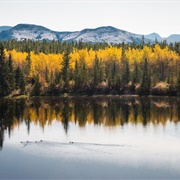 Alaska-Canadian Highway: Vancouver to Anchorage