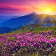 Nanda Devi and Valley of Flowers National Parks, India