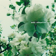 Volleyed Iron (Kettel, 2004)