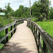 Phinizy Swamp Nature Park