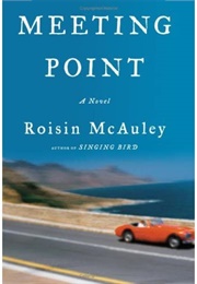 Meeting Point (Roison McAnley)