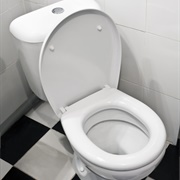 Leaving the Toilet Seat Up