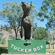 The Dog on the Tucker Box