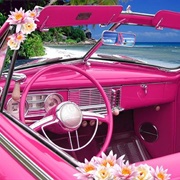 Drive With the Roof Down