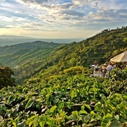 Zona Cafetera, Colombia