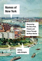 Names of New York: Discovering the City's Past, Present, and Future Through Its Place-Names (Joshua Jelly-Schapiro)