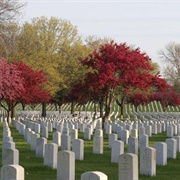 Fort Snelling Cemetery, MN
