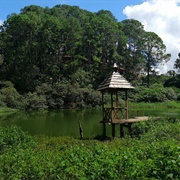 Parque Nacional Las Victorias, Cobán, Guatemala