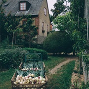 Mandelmann's Farm, Djupadal, Skåne