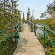 Weaselhead Flats, Calgary