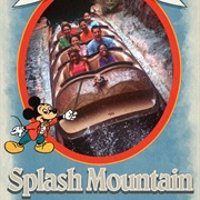 Splash Mountain - Magic Kingdom