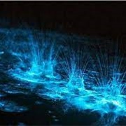 Swim at Glistening Waters Jamaica