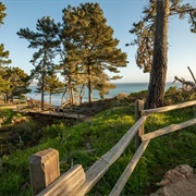 Año Nuevo State Park, San Mateo County