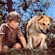 Old Yeller (Old Yeller, 1957)