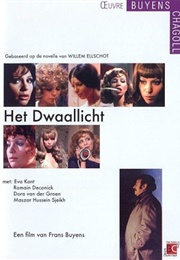Het Dwaallicht (1973)