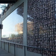 Tucson Portrait Project