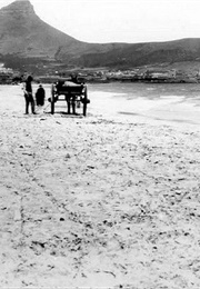 The Sea Front of Cape Town (1899)