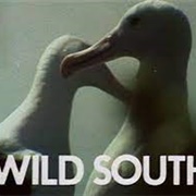 Wild South