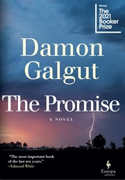 The Promise (Galgut, Damon)