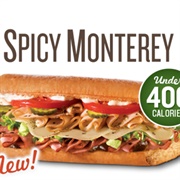 Quiznos Spicy Monterey Sandwich
