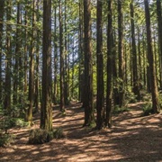 Roberts Regional Recreation Area