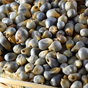 Guinea Millet (Brachiaria Deflexa)