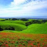 Vargas Plateau Regional Park
