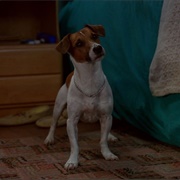 Milo (The Mask, 1994)