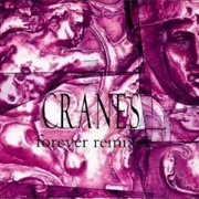 Cranes - Forever Remixes