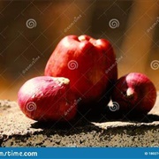 Apple and Red Onion