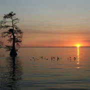 Lake Istokpoga, Florida