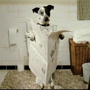 Sam (Bruce Almighty, 2003)