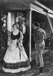 The Fighting Brothers (1919)